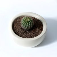 Vasque petit model 10x17