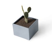 Cubique Grand Modèle 15x20
